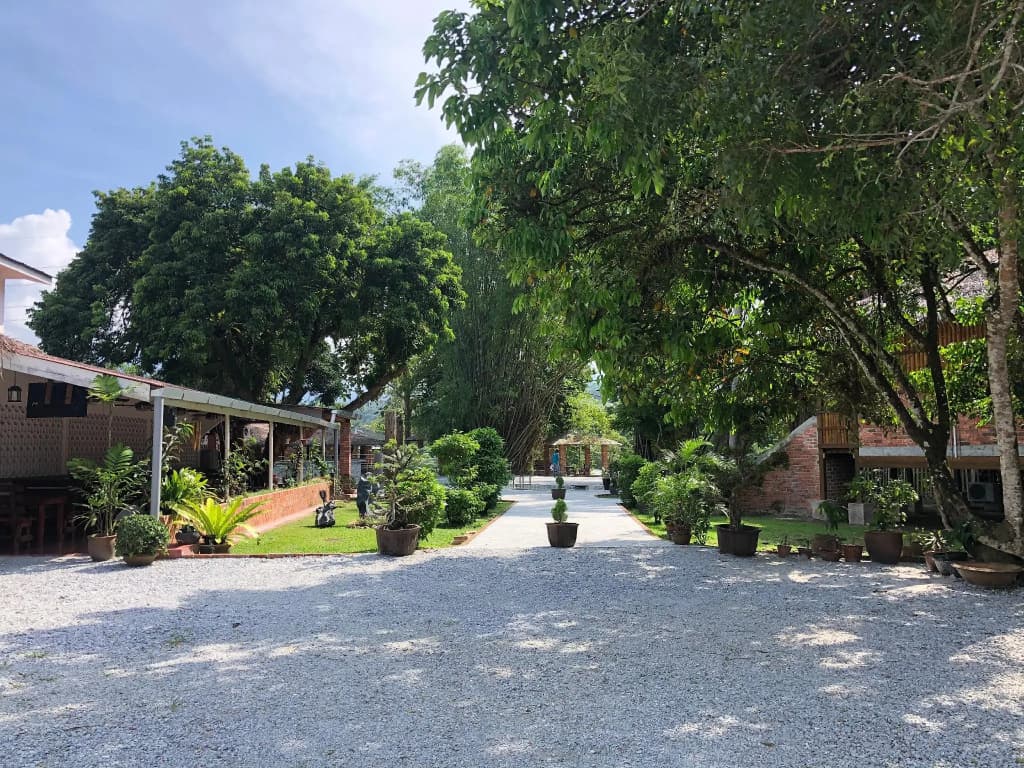 The Roots Eco Resort - photo 11