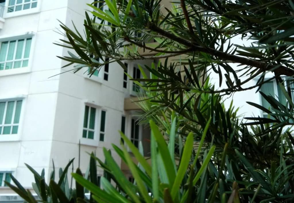 Sabah Apartment @ 1 Borneo - photo 11