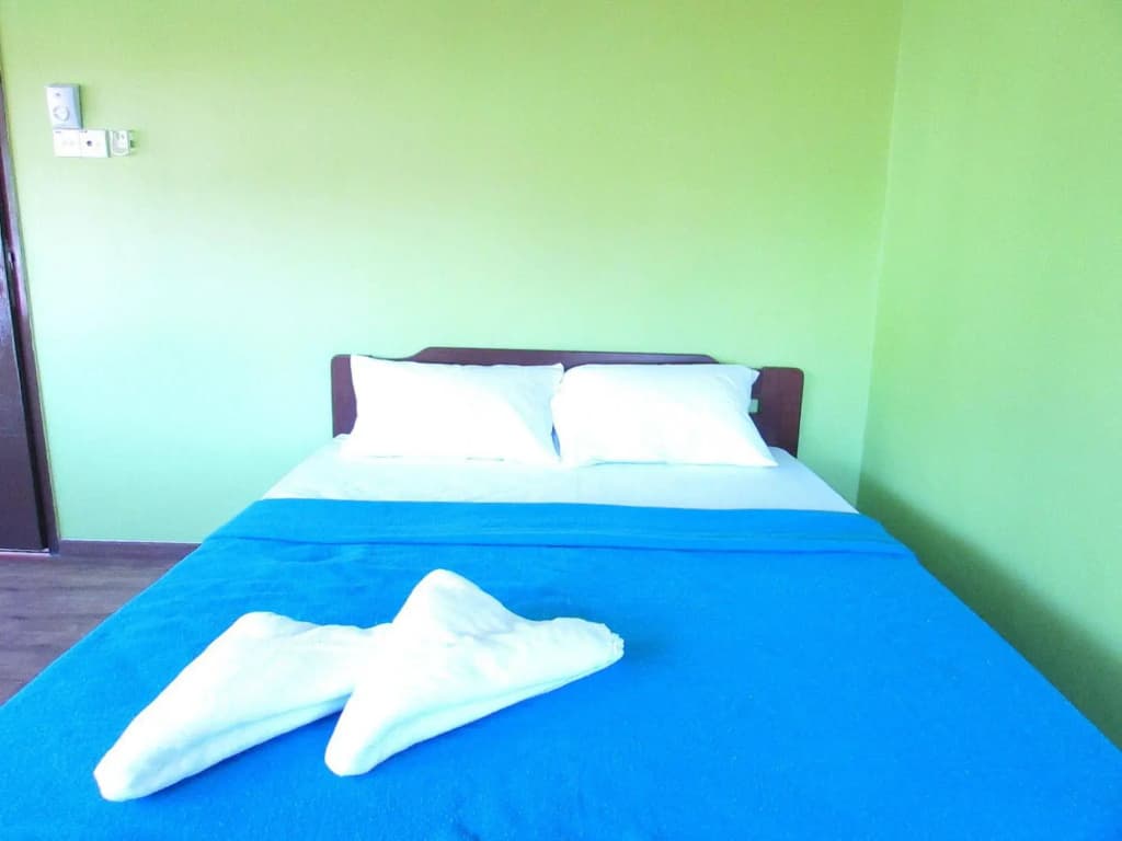 Fat Rhino Hostel - photo 3