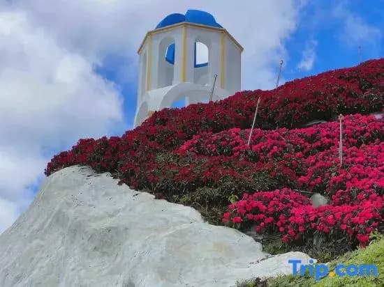 Nova Highlands Resort & Residence - photo 20
