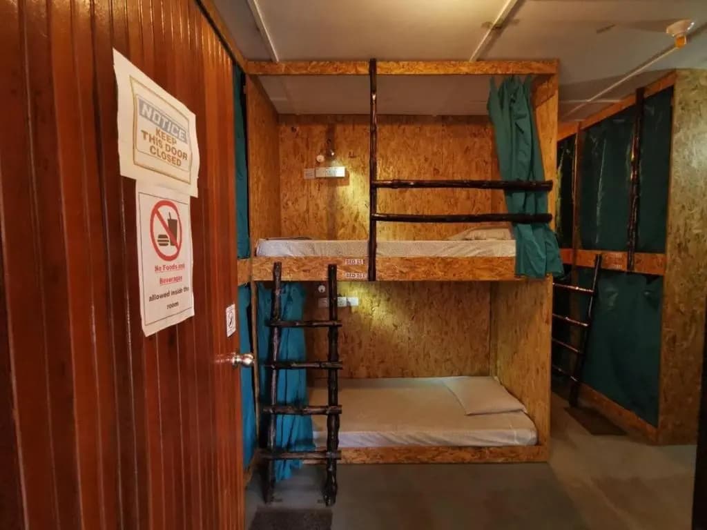 Agosto Taman Negara Hostel - photo 6