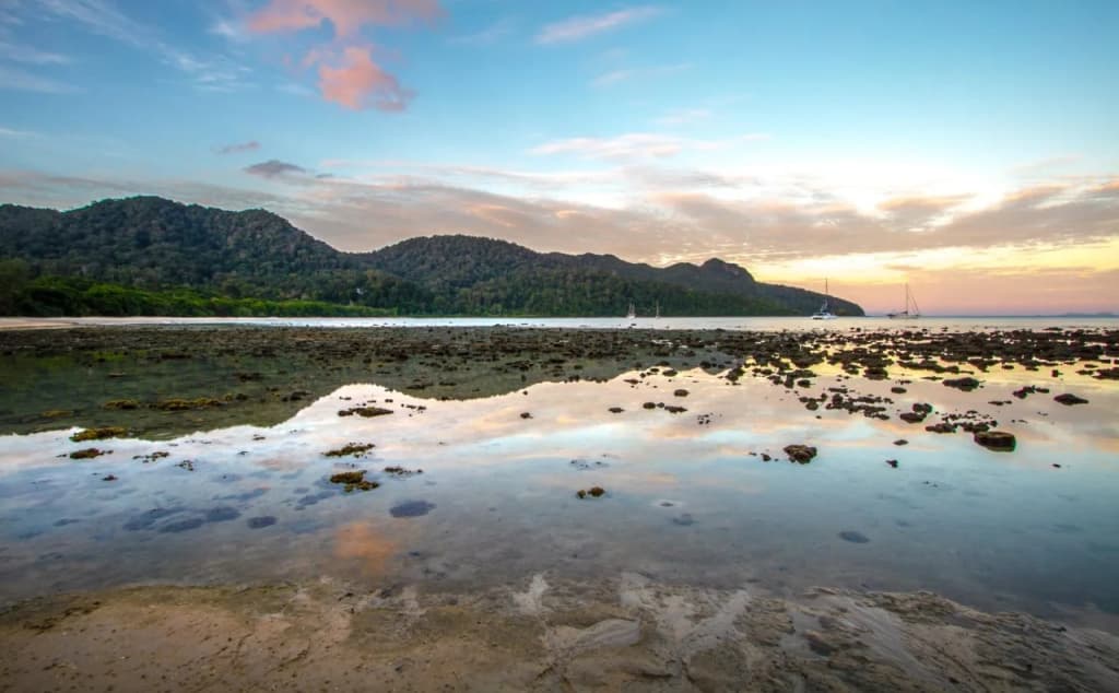The Ritz-Carlton, Langkawi - photo 28