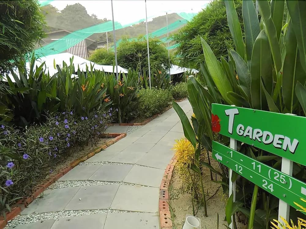 T Garden - photo 11