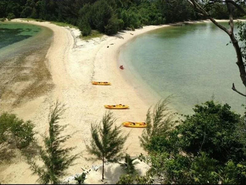 Sunborneo Island Resort - photo 3