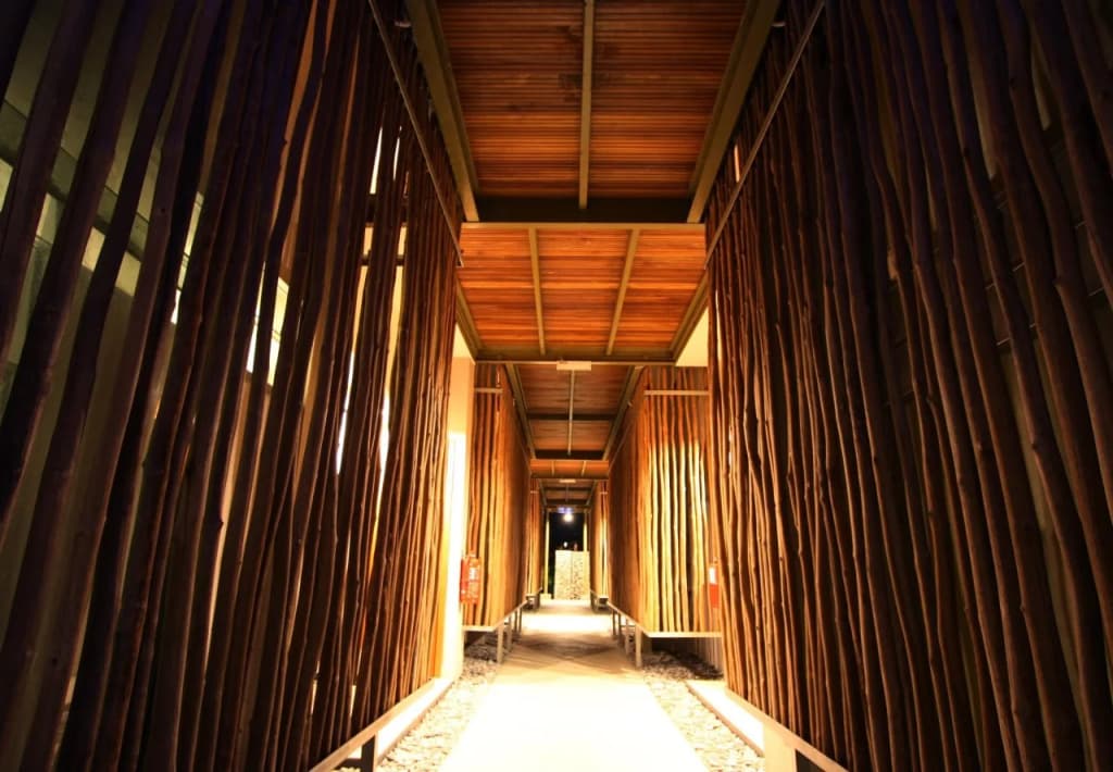 Belum Rainforest Resort - photo 11