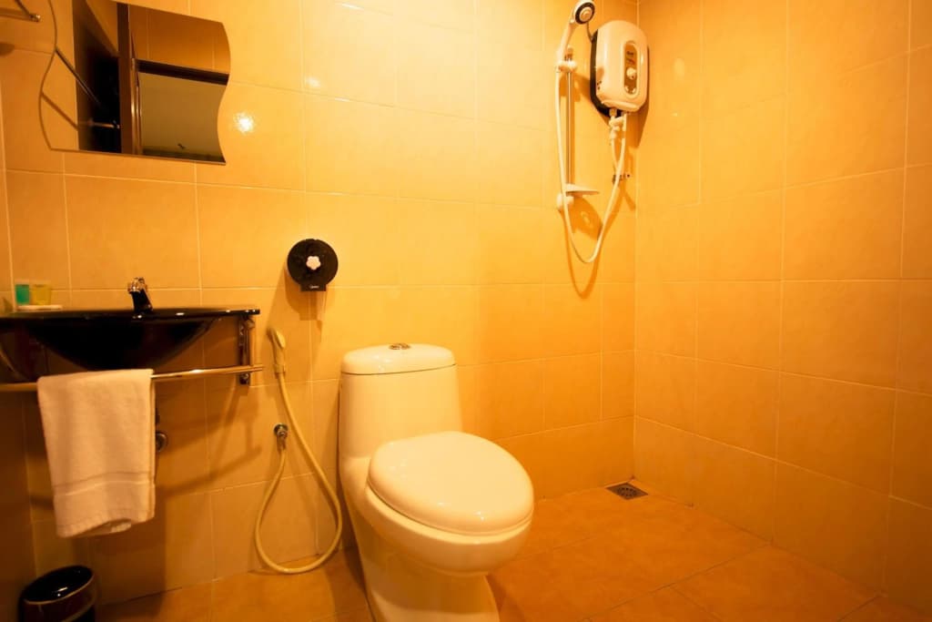 De Botani Hotel - photo 8