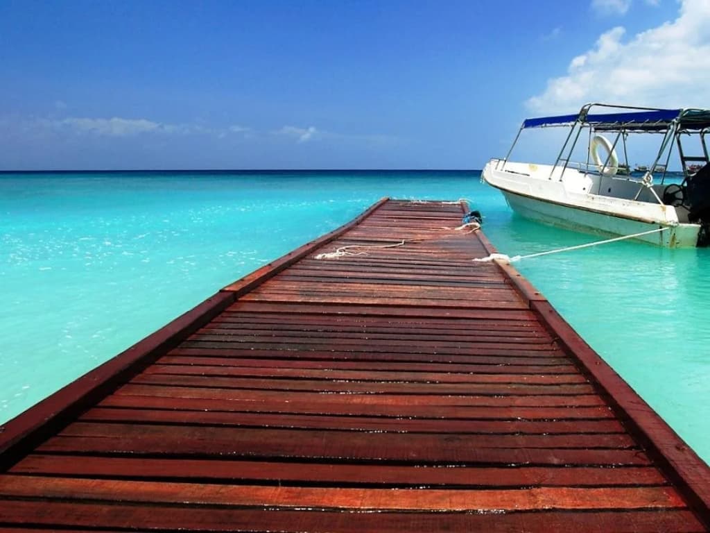 D'Coconut Lagoon - photo 4