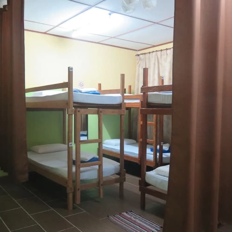 Postar's Backpacker - Hostel - photo 21