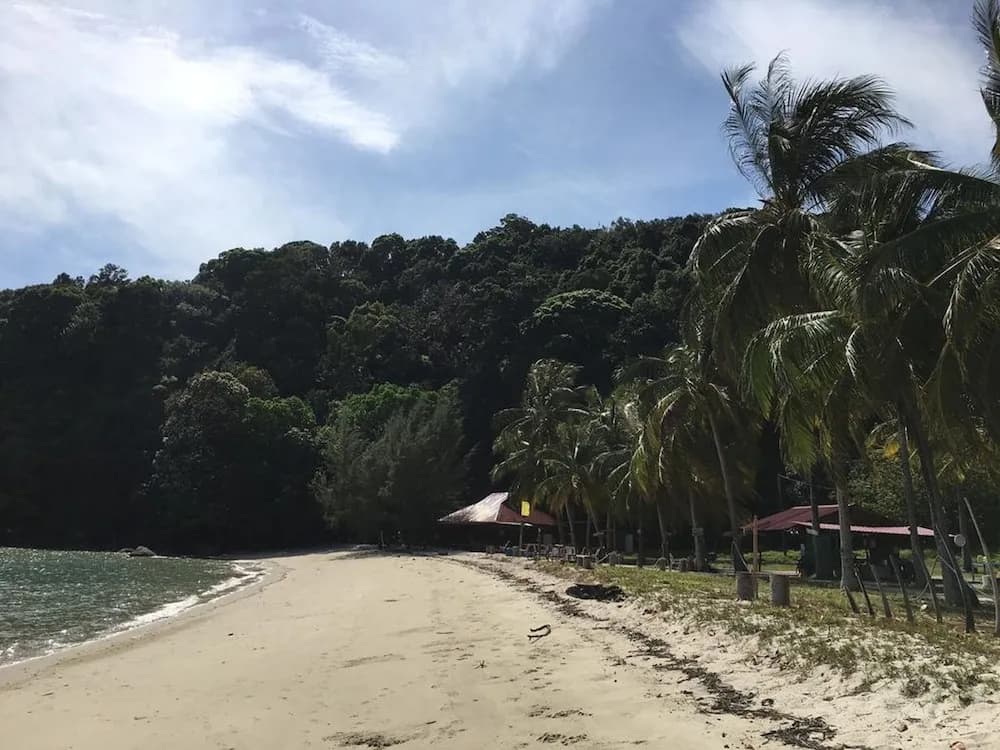 Wild Pasir Panjang - photo 12