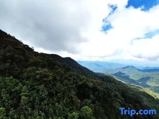 GENTING FoggyColdStayCation AT IDelemen By HAPYHOME - photo 4