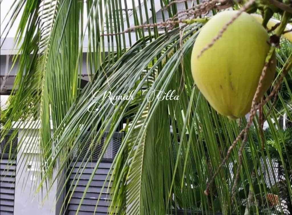 Rumah Citta Homestay Tambun Ipoh - photo 13