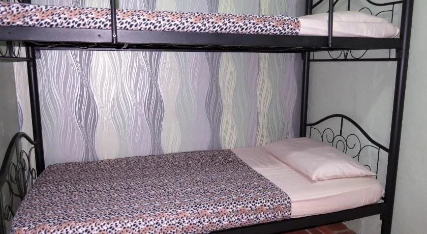 ParkView GuestHouse - photo 6