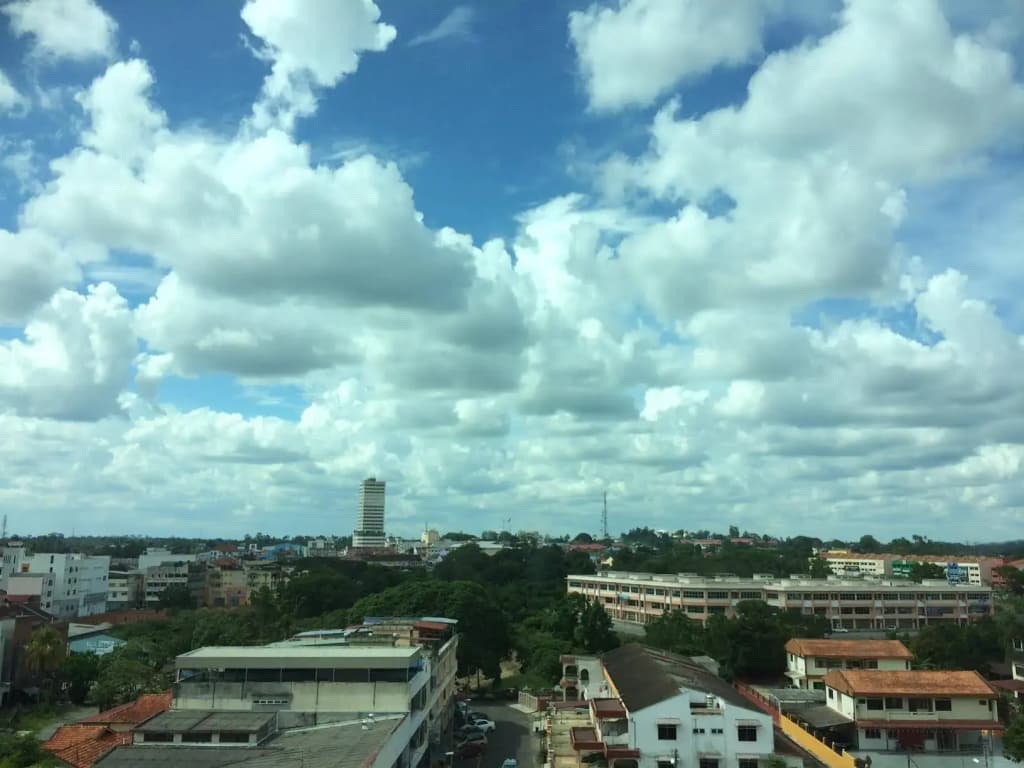 The View Hotel - photo 26