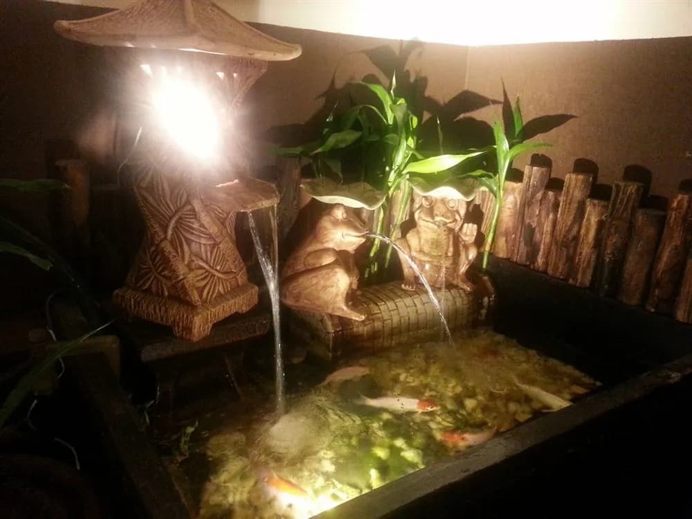Camellia Budget Inn - photo 17