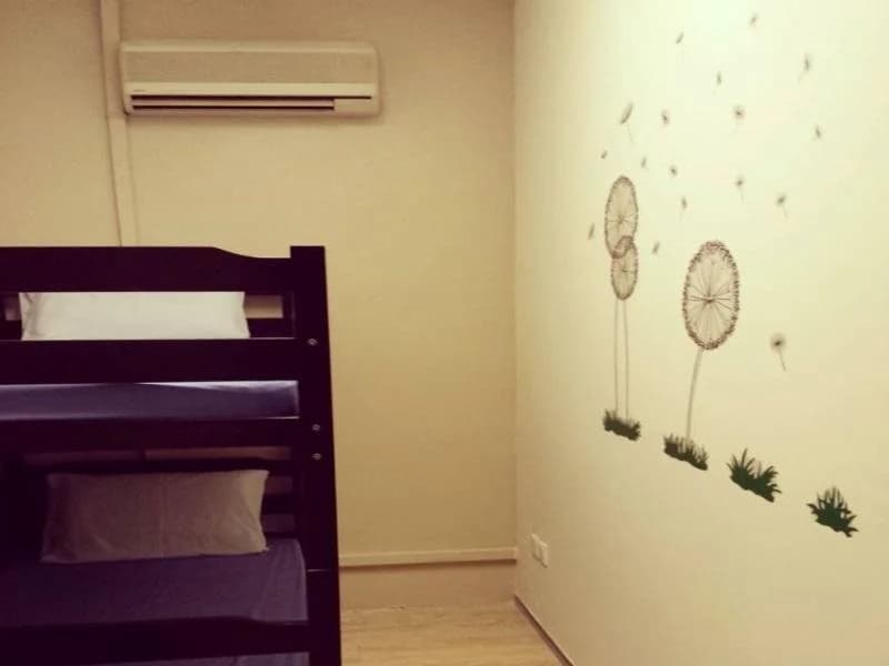 Sekai Guesthouse and Backpackers - photo 5