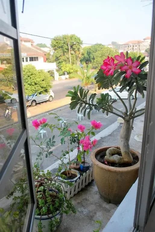 The Cardamom Hostel - photo 38