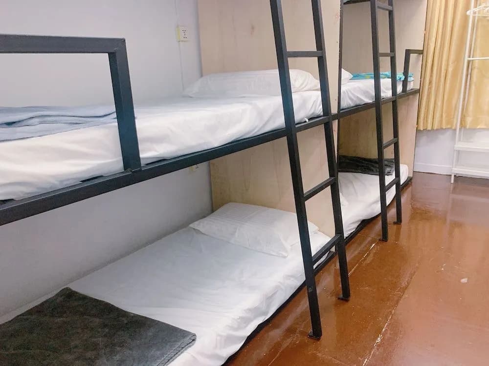 Rabbit Breaks Penang Hostel - photo 4