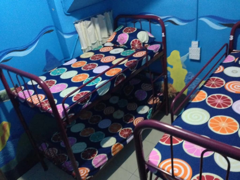 Bubble Backpackers - photo 8