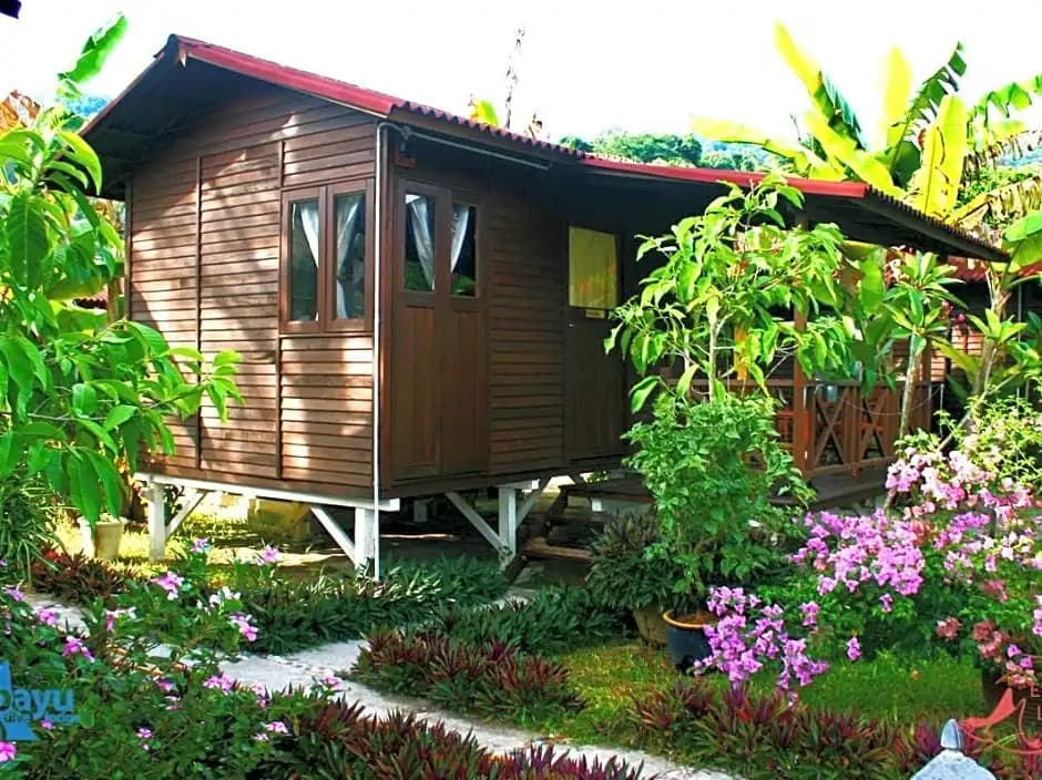 Bayu Dive Lodge - photo 5
