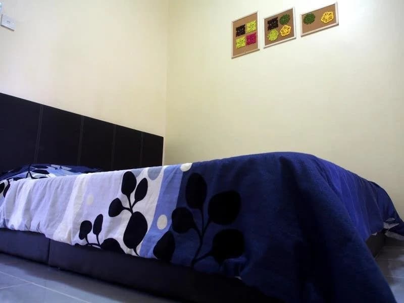 Dream Roof Homestay - main photo