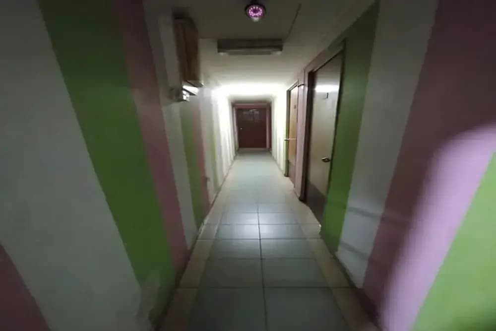 I Rose Budget Hotel - photo 5