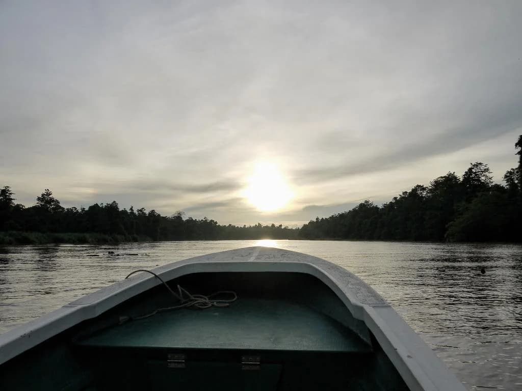Bilit Rainforest Lodge - photo 10