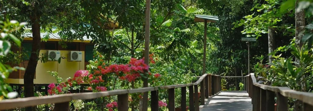 Bilit Adventure Lodge - photo 6