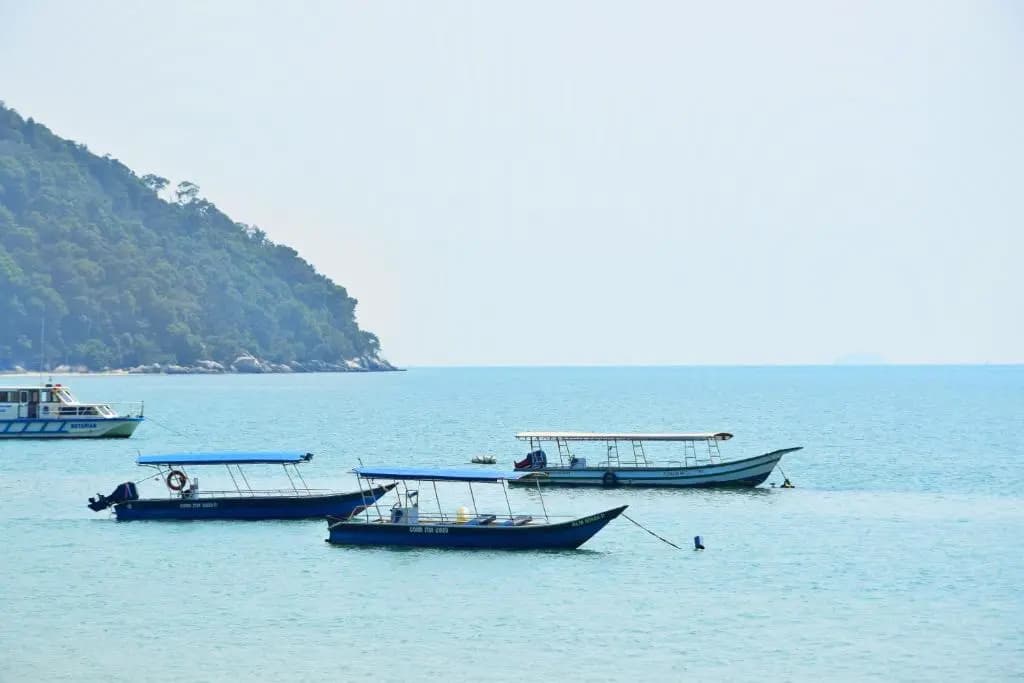 AVI Pangkor Beach Resort - photo 13