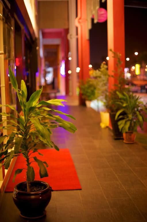 De Botani Hotel - photo 10