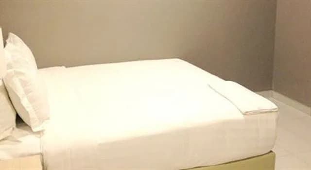 DS Hotel - photo 21
