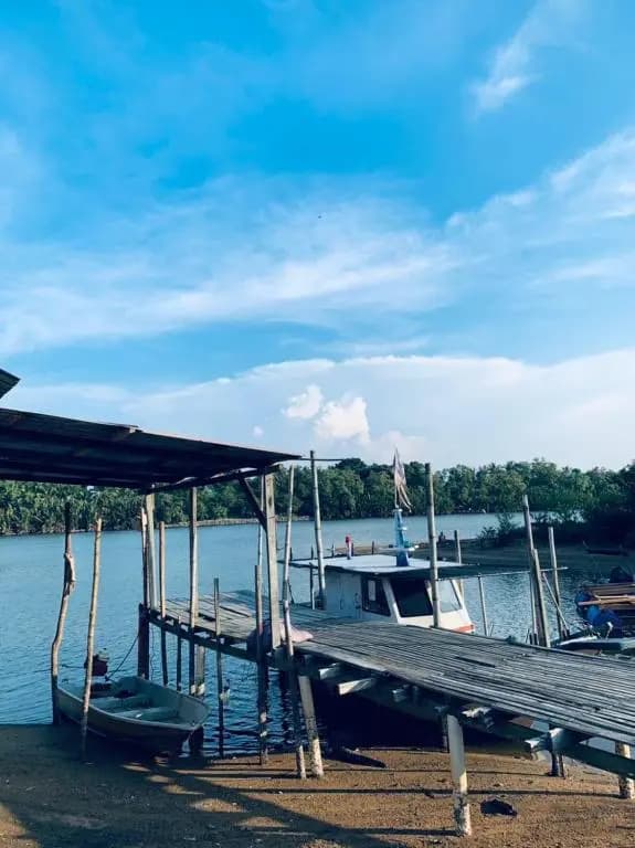 Rumah Tepi Sungai KB - photo 2