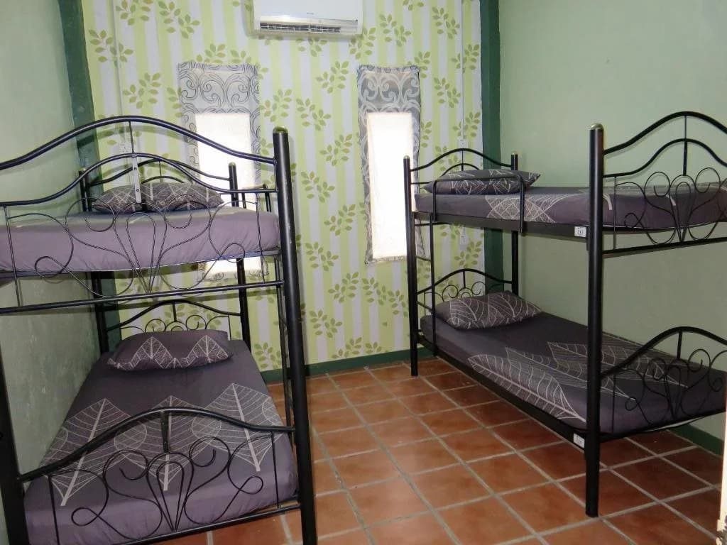 ParkView GuestHouse - photo 5