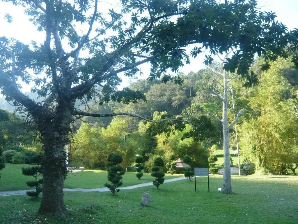 Cozy Mount Erskine Homestay - photo 8