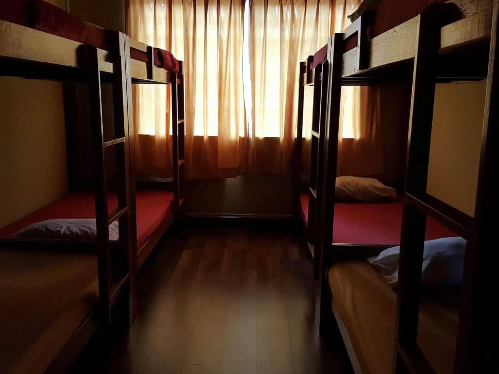 X-Plorer Backpackers - Hostel - photo 2