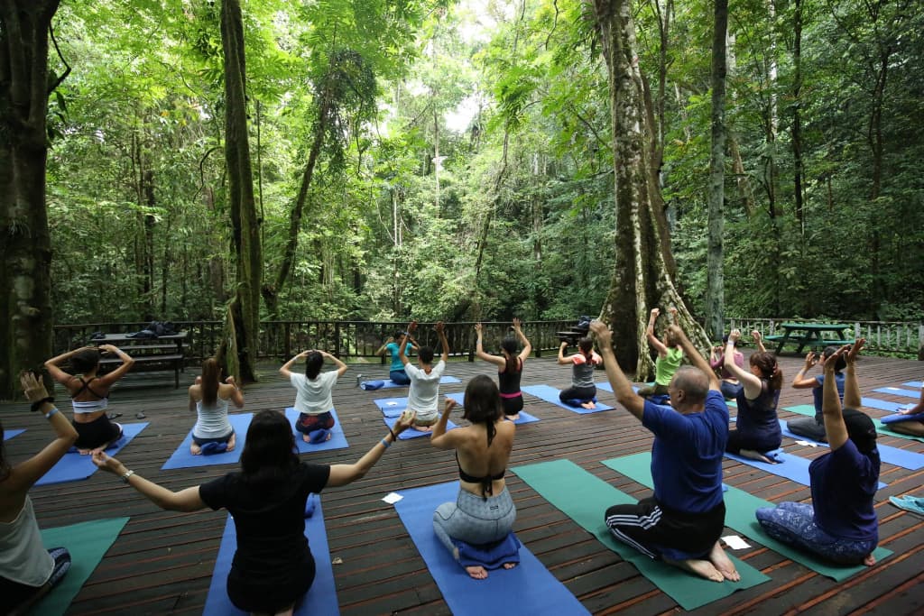 Mulu Marriott Resort - photo 25