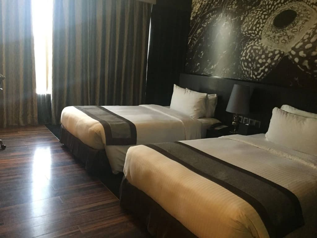Horizon Hotel - photo 6