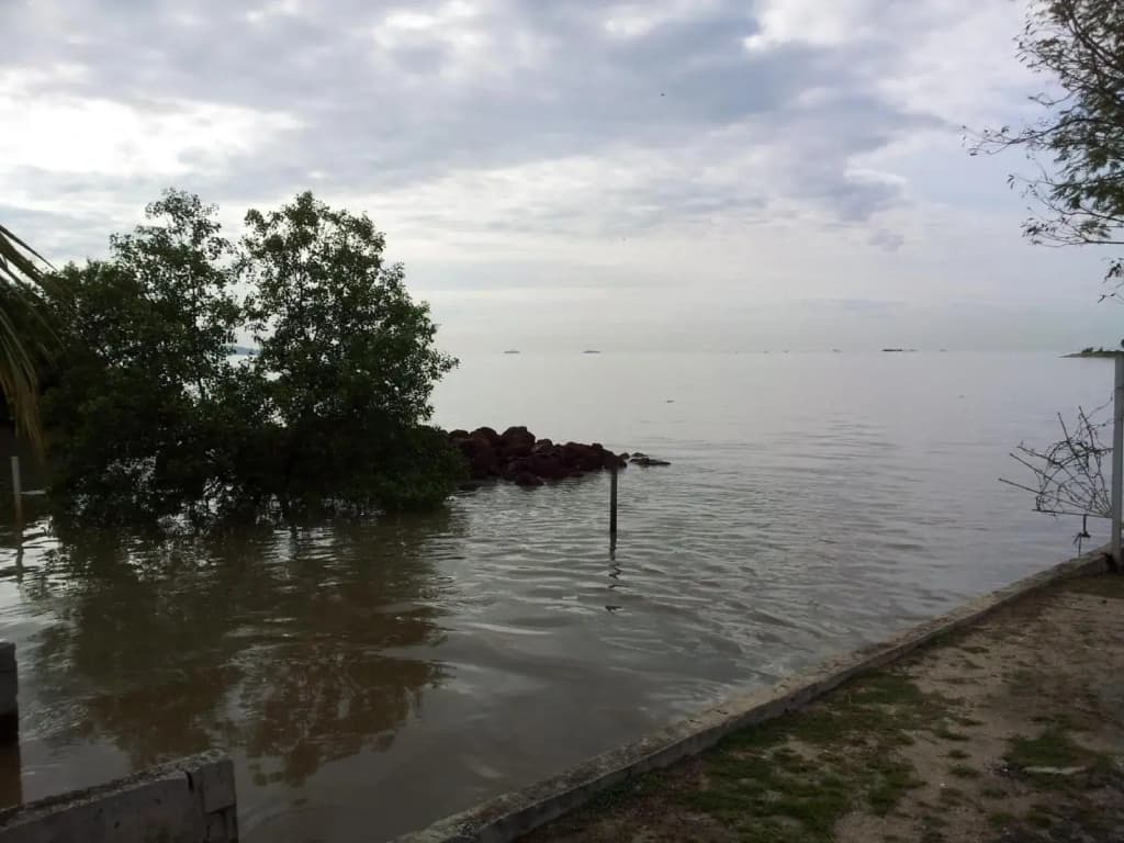 Harbour Inn Melaka - photo 15