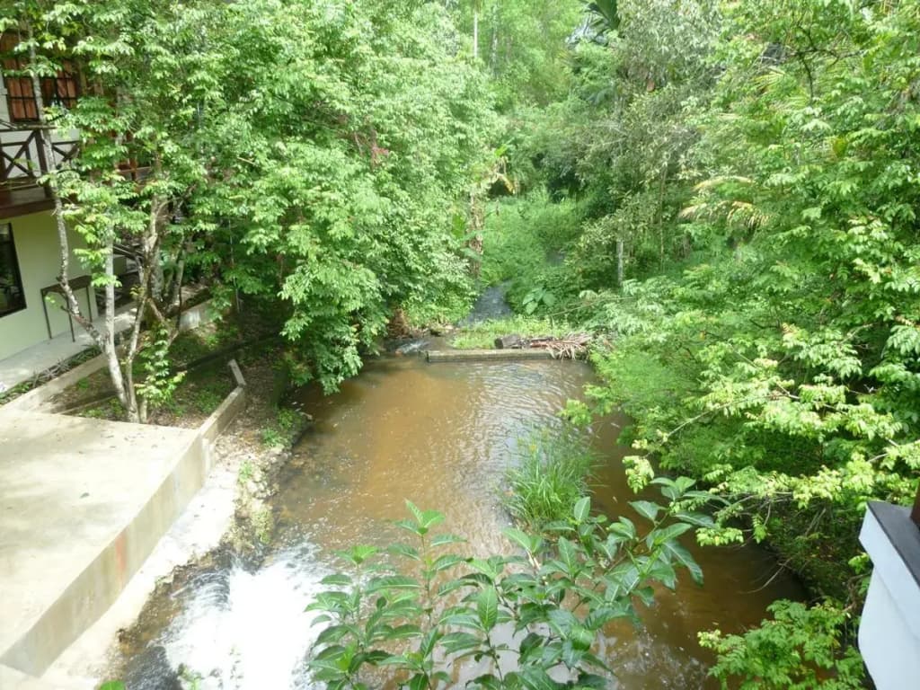 Slagon Homestay - photo 15