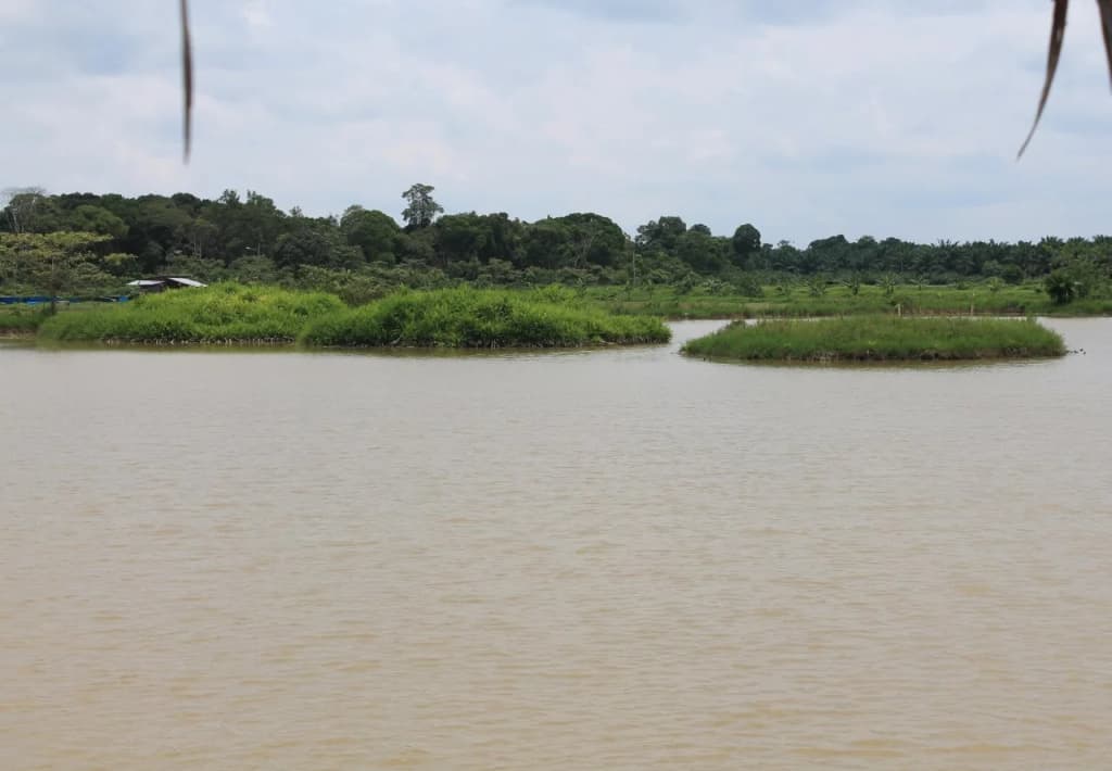Kahang Organic Rice Eco Farm Resort - photo 6