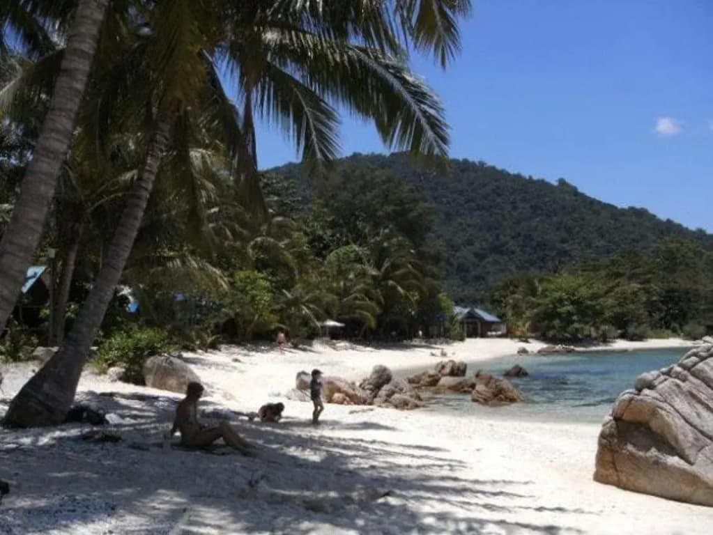 Coral View Island Resort - photo 11
