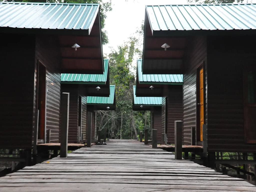 Kinabatangan Sunshine Lodge - photo 1