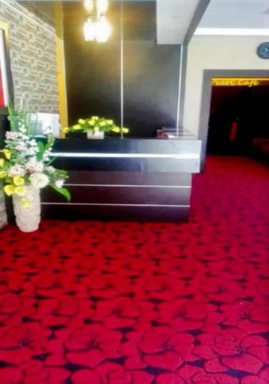 Diamond Hotel - photo 19
