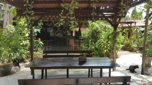 Gecko Guesthouse Langkawi - photo 11