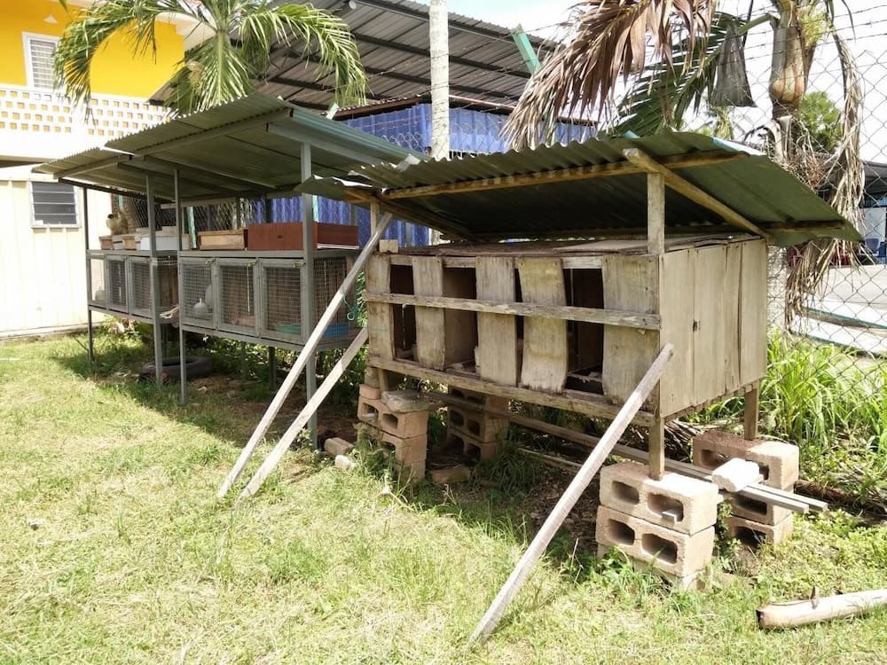 Harum Manis Country House - photo 12