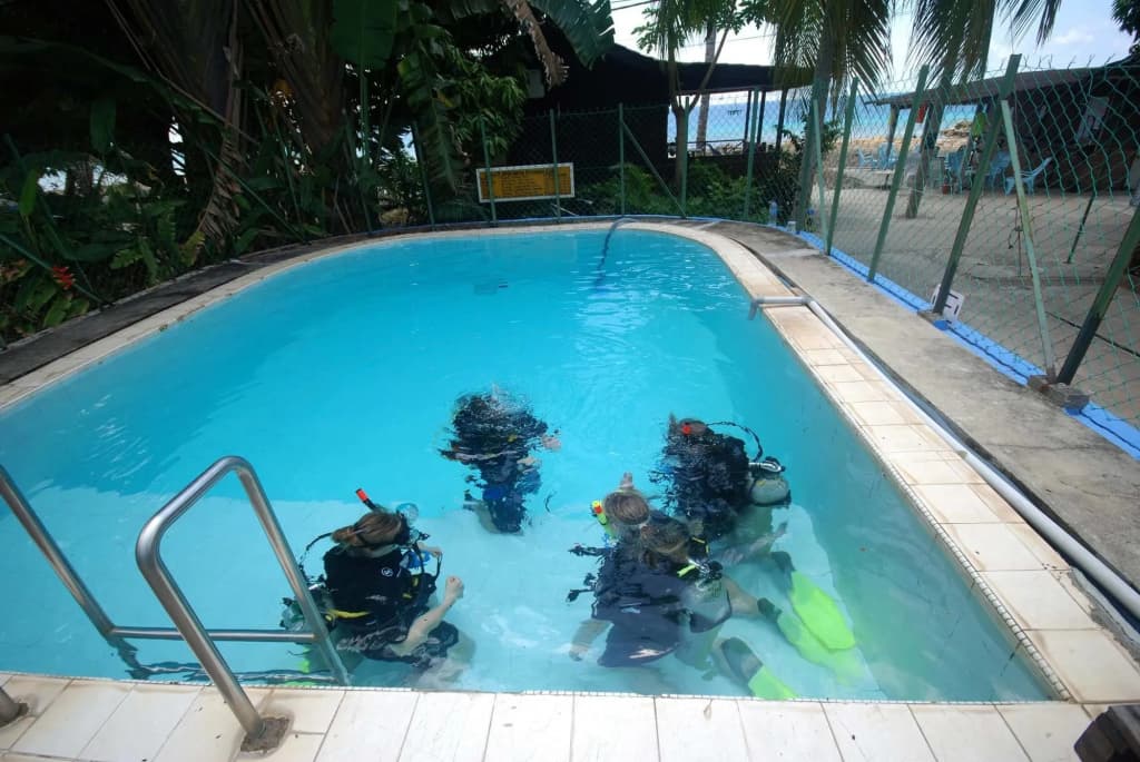 Tioman Dive Resort - photo 11