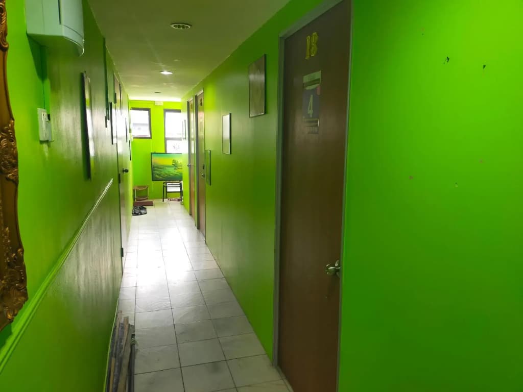 netasha holiday inn - photo 3
