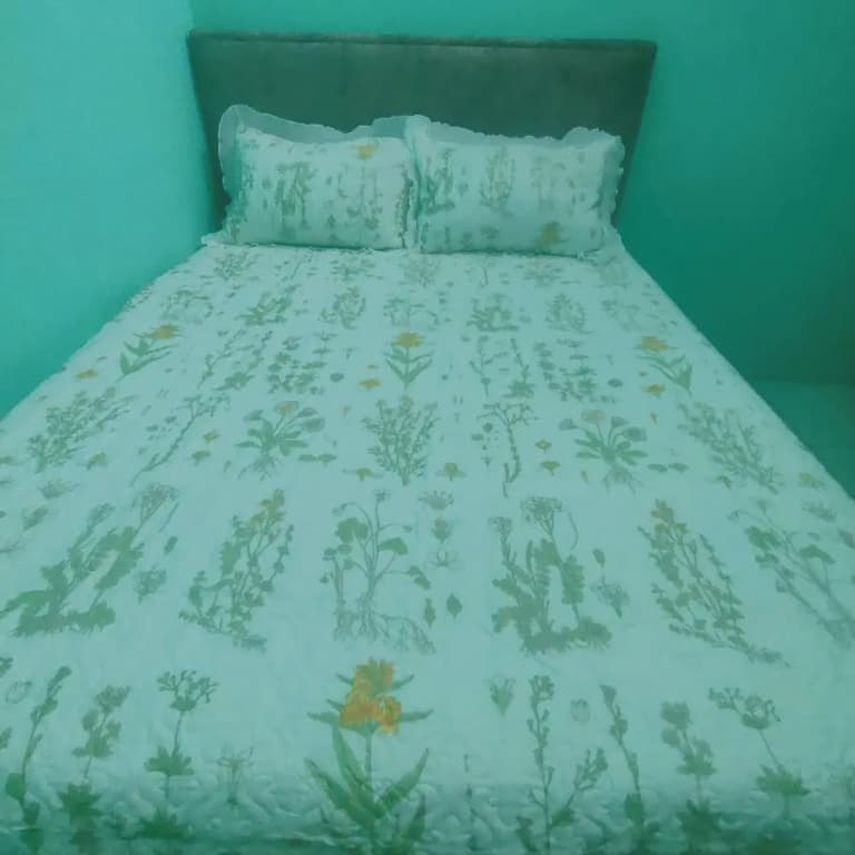 Taman Tinah Homestay - photo 6