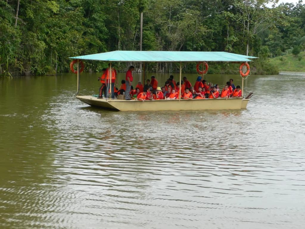 Borneo Tropical Rainforest Resort - photo 14
