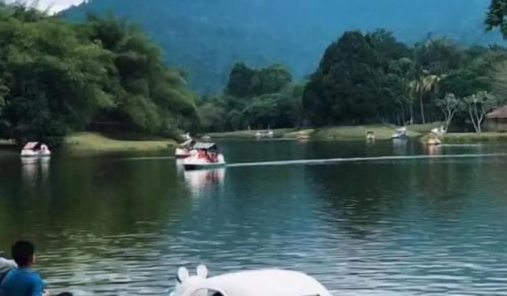 Taiping Homestay - photo 16