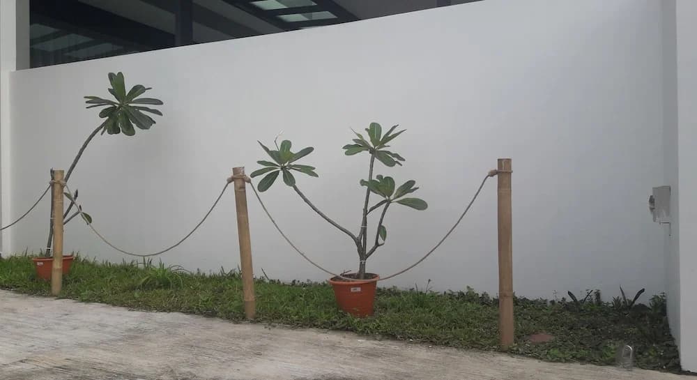 Tampoi Homestay - photo 13